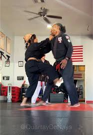 Image result for Kyoku Kenjutsu Kai