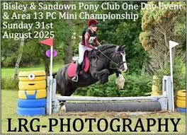 Image result for Abinger Forest Riding Club