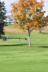 Image result for Berkshire Bantams Floorball Club