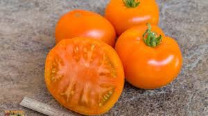 Afbeeldingsresultaat voor northern lights tomato