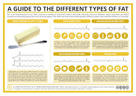 Image result for fat