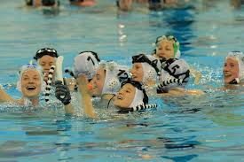 Image result for Dublin Underwater Hockey Team