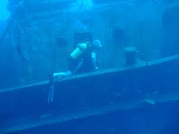 Image result for Harbour Lights Snorkelling Club (HLSC)