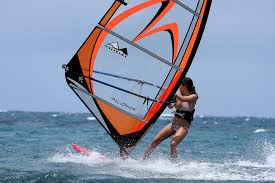 Image result for Aloha Sailboards