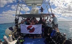 Image result for 243 Diving Club