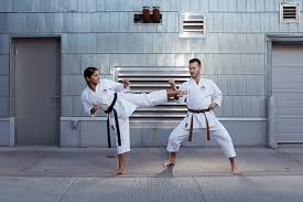 Image result for Shotokan Karate