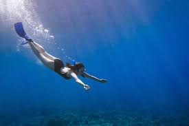 Image result for Blue Water Diving
