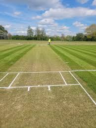 Image result for Harrow Cricket Club