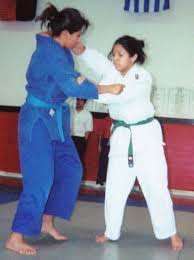 Image result for Rising Sun Judo Club