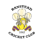 Image result for Tadworth Cricket Club