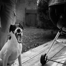 Image result for epl1 20mm night site:flickr.com