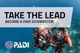 Image result for Divemaster Scuba