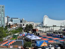 Image result for Thornbury Pickleball Club