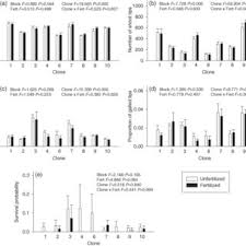 Attēlu rezultāti vaicājumam “Rhabdophaga rosaria”