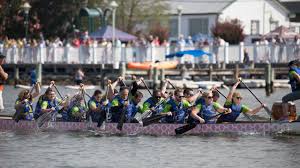 Image result for Wam Dragon Boat Racing Team