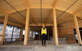 Image result for decoste