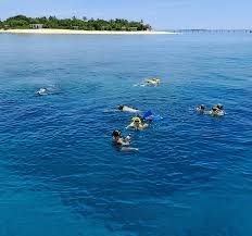 Image result for Wyndley NSC Snorkelling Club