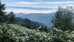 Attēlu rezultāti vaicājumam “Ena montana”