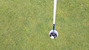 Image result for Flamborough Head Golf Club