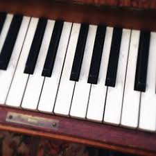 「観月真梨絵」の画像検索結果