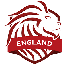 Image result for Wessex Warlocks Quadball