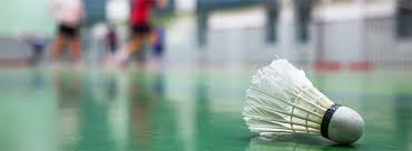 Image result for Ripley Badminton Club