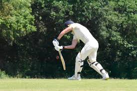 Image result for Abinger Sports Club