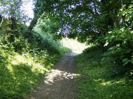 Image result for Castle Cary Cc