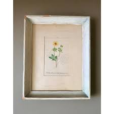 Image result for Thaddus Haenke