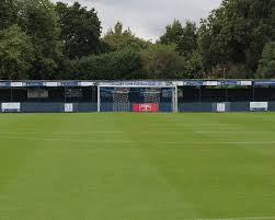 Image result for Chertsey Albion Fc