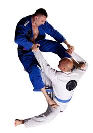 Image result for BJJ in Luton