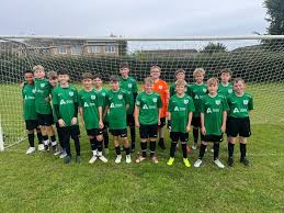 Image result for Welwyn Garden City Panshanger Football Club