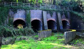 Image result for Maidenhead Rotaract Unihoc