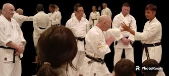 Image result for Burnley Wado Ryu Karate Club