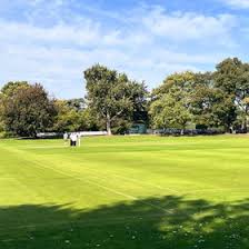 Image result for Jesters Cricket Club