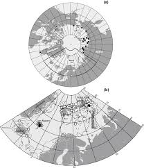 Image result for Arctogadus glacialis