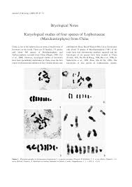 Attēlu rezultāti vaicājumam “Lophozia ascendens”