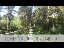 Image result for Go Ape! Alice Holt