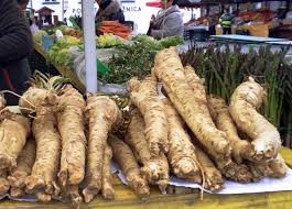 Attēlu rezultāti vaicājumam “Armoracia rusticana bud”