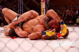 Image result for Cardiff Mma