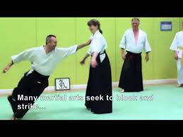 Image result for Ki Aikido (Epsom Ki Aikido