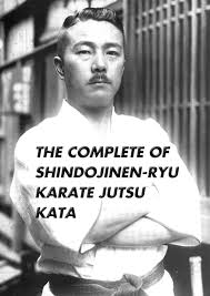 Image result for Ji Shin Do Karate