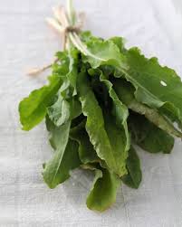 Image result for Sauerampfer