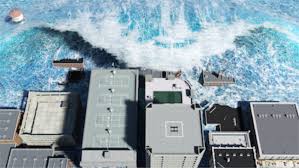 Image result for 耐震 大津波無力