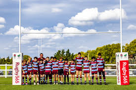 Image result for Chiswick Rugby Club