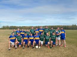 Image result for Wolfe Tones Gaelic Athletic Club