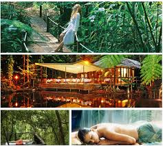 Daintree Eco Lodge & Spa