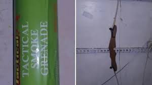 Image result for Paintball Trax, Lancashire