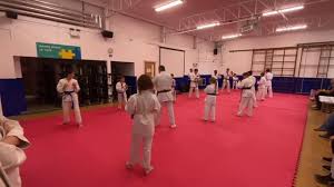 Image result for A BRITISH JUJITSU RYU in Lancing