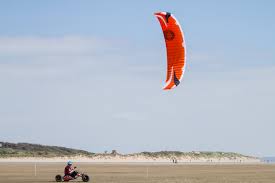 Image result for Baiter Power Kite